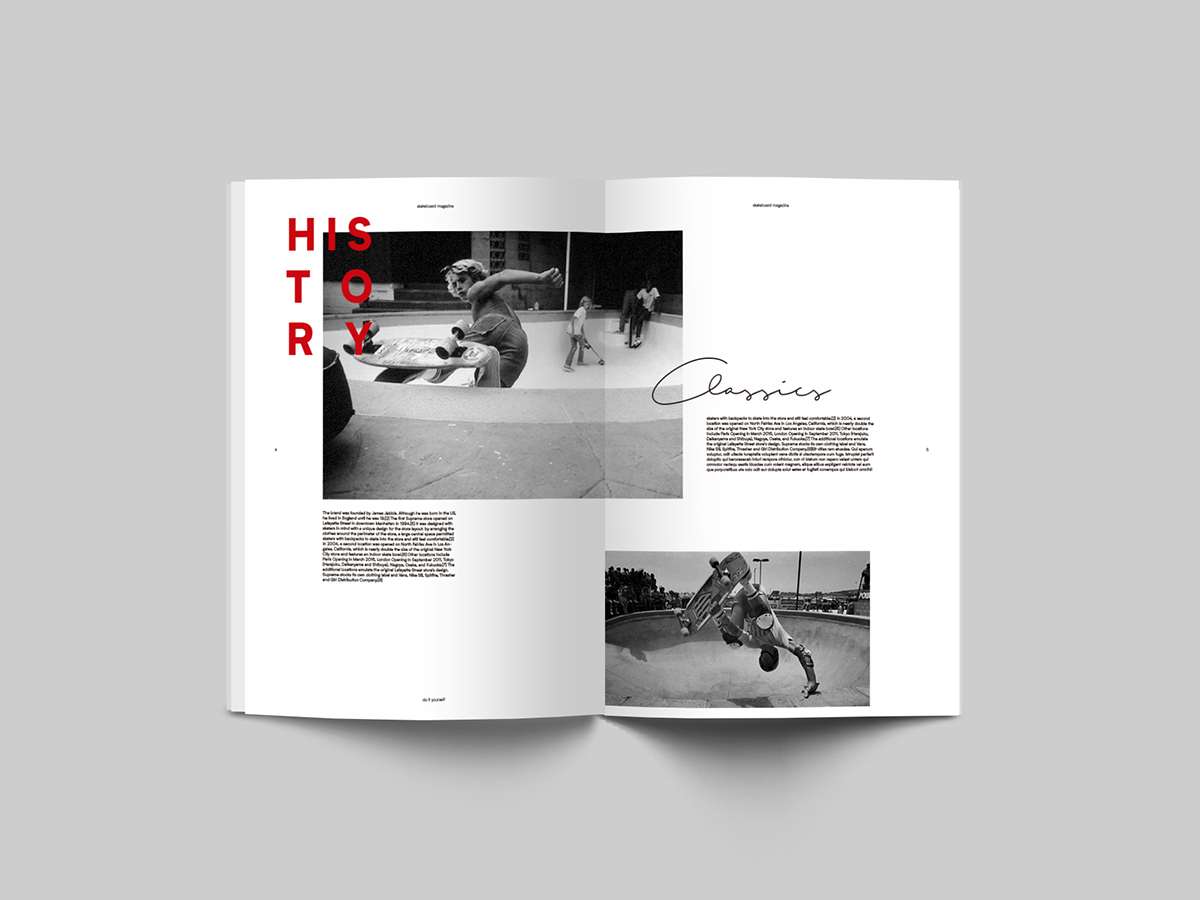 skate skateboard skateboarding Skate Magazine  magazine Sport Magazine in design design editorial design  editorial