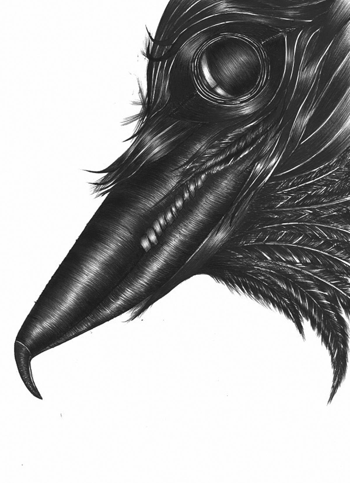 black bird eye crow raven ballpoint pen black white fantasy