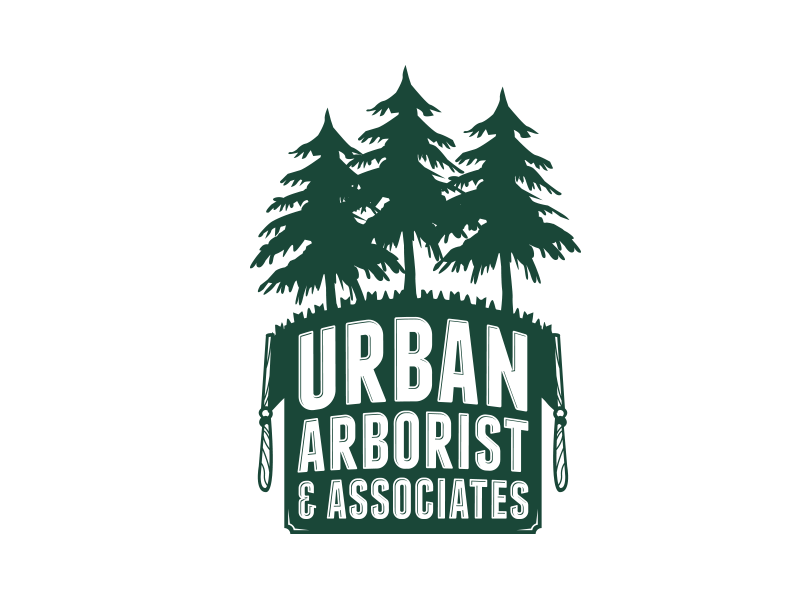 logo design brand Tree  art