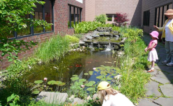 courtyard corporate headquarters water feature seasonal beauty
