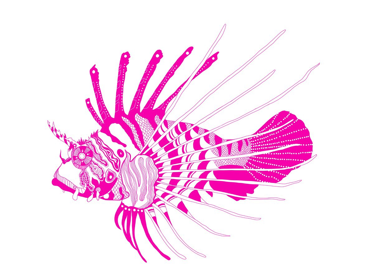 fish blue Ocean marine life sea creature psychedelic negative space watercolor digital pencil
