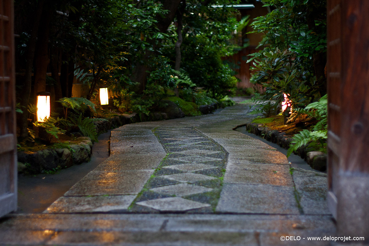 japan traditional Nara kyoto Travel rain green Picture red history world
