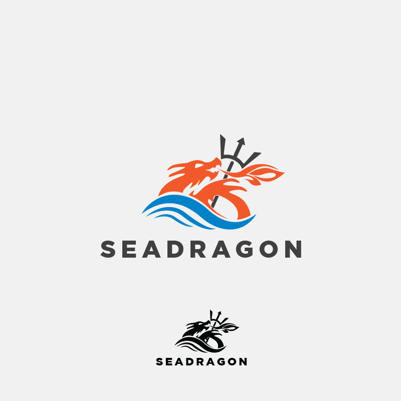 seadragon dragon brand visual identity Corporate Identity corporate branding dragon vector