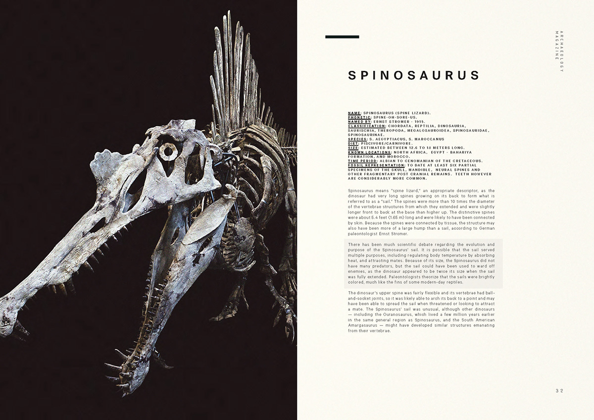 print archaeology Dinosaur magazine digital abstract grid