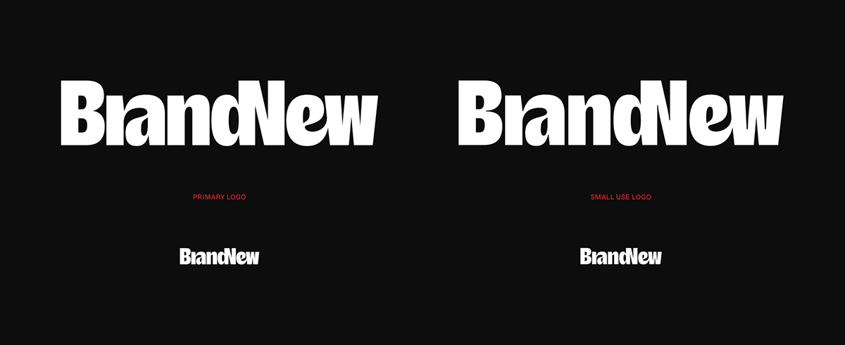 branding  Logo Design wordmark merchandise