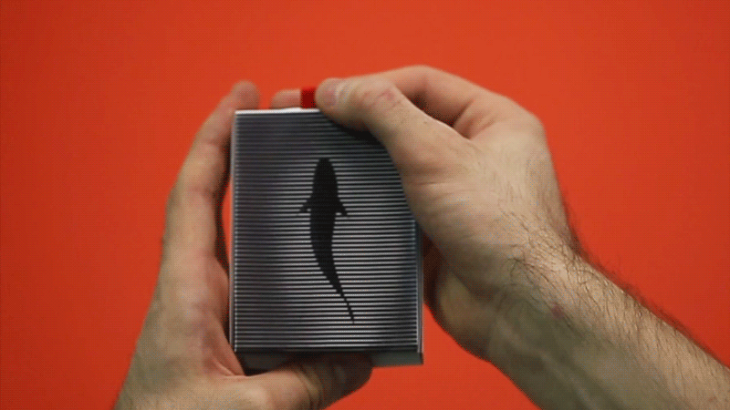 loco studio packaging design animation  preserves canned goods loco moving objects fish sardine mussels