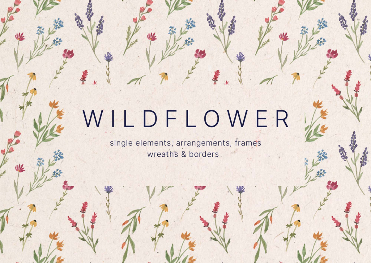 wildflower flower watercolor watercolor element png download frame pattern