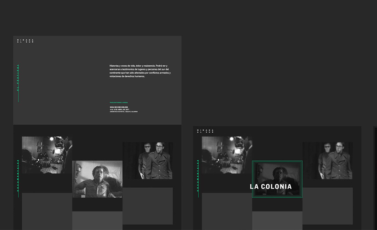 digital Web Design  web development  colombia