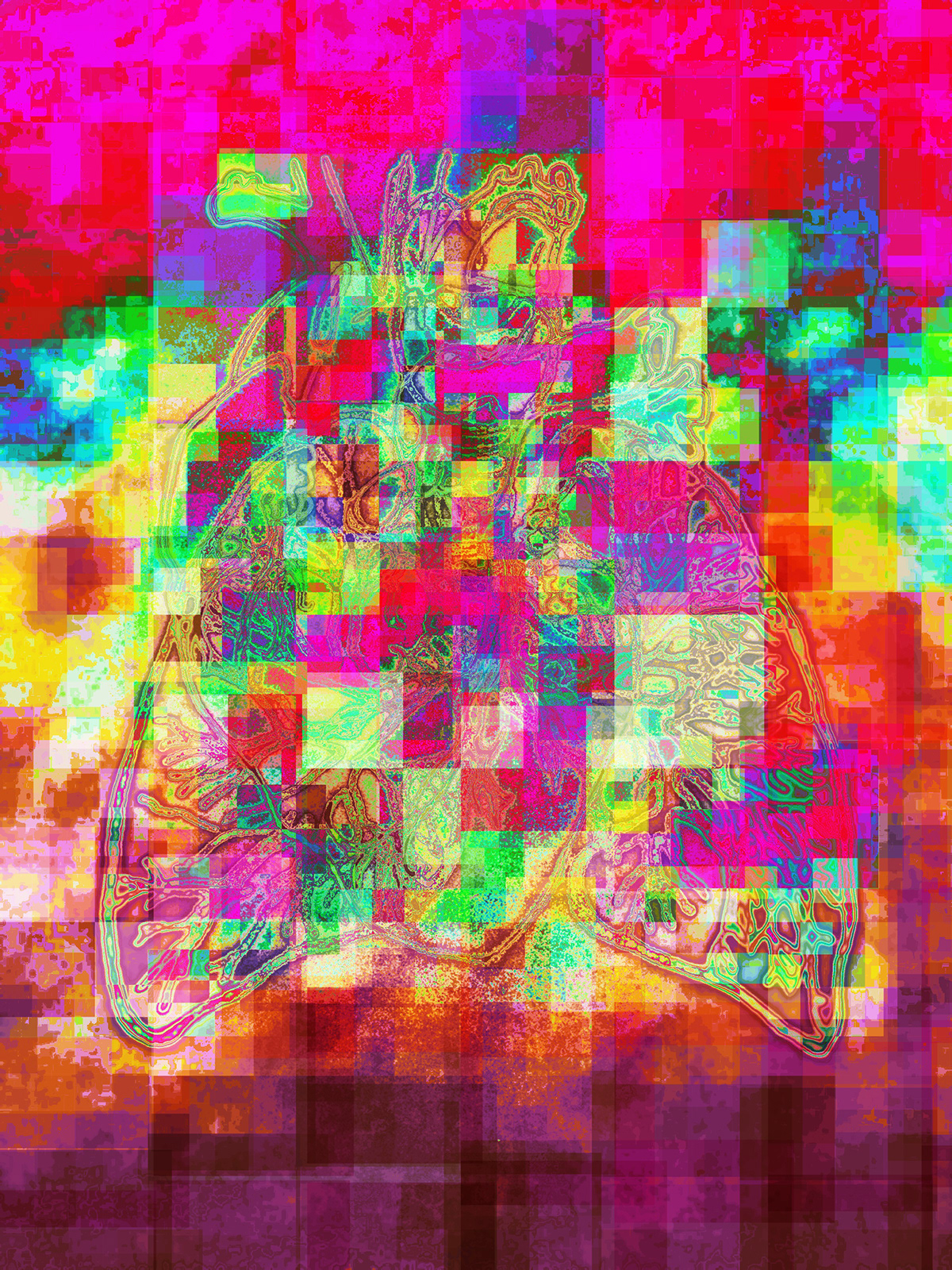 Glitch digital art photo image human integration colors pixel iphone cellphoneography