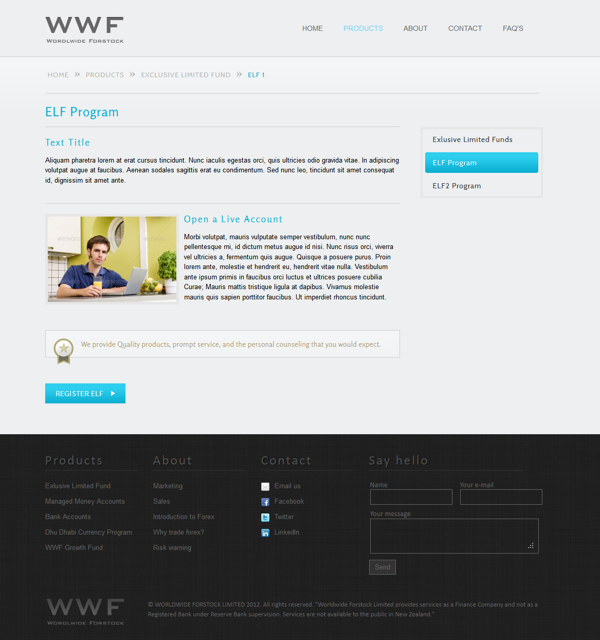 financial corporate web site