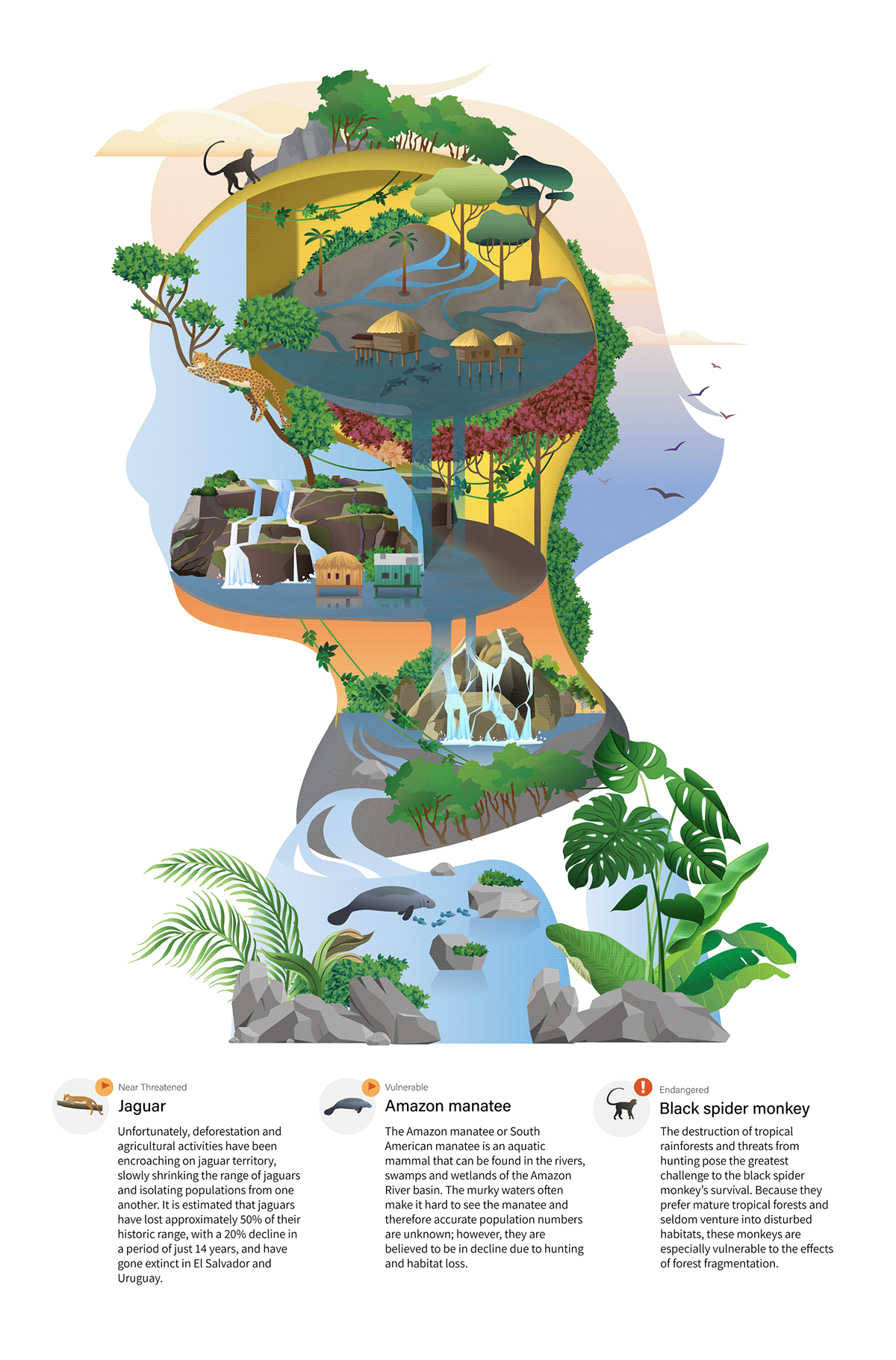 animal conservation educational head human infographic wildlife vector chart map