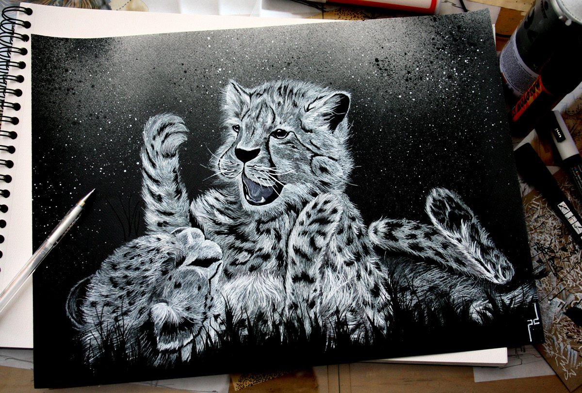 cheetah play stars night spray paint cubs animal Nature polar bear water ice SKY bath