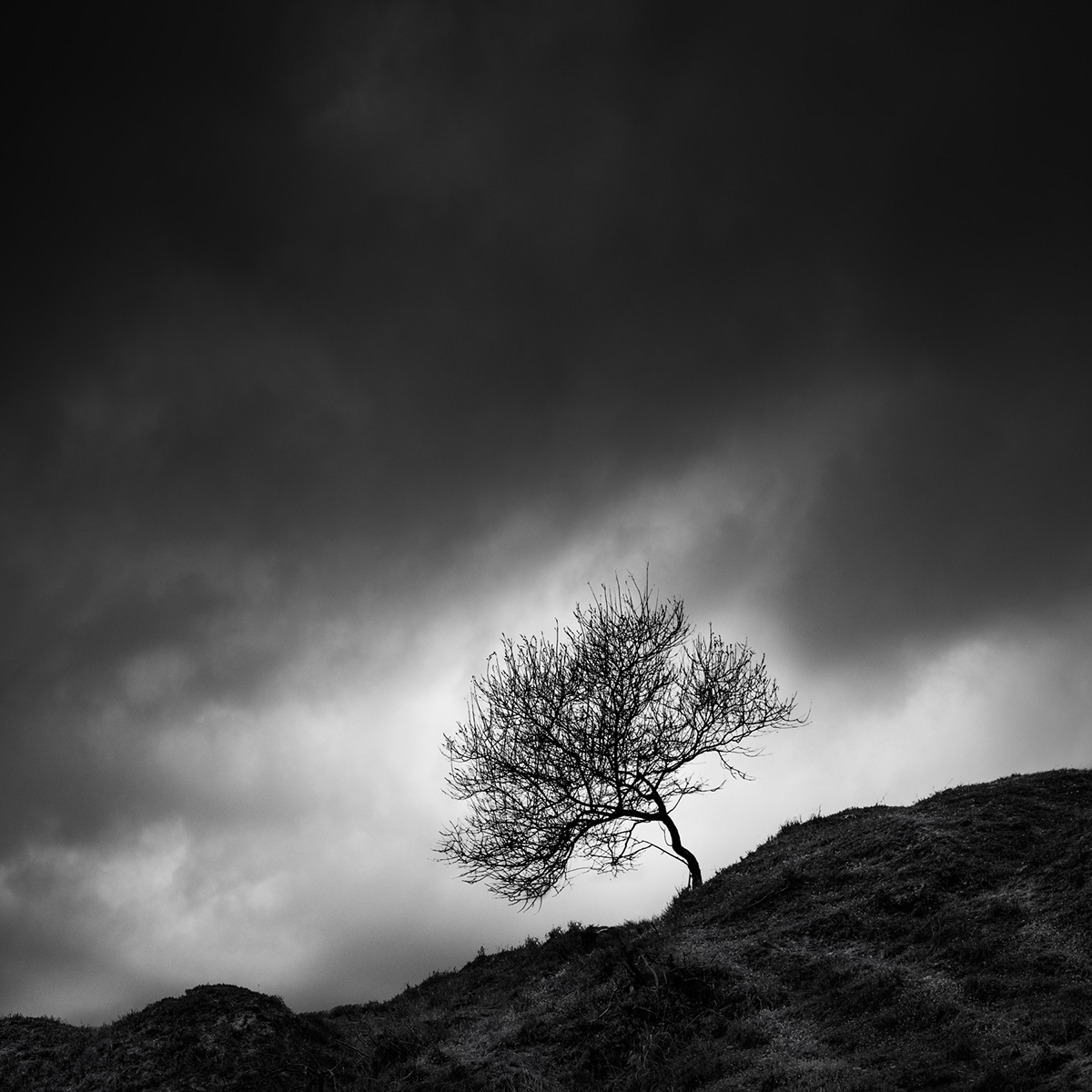 black and white fine art Landscape Nature Photography 