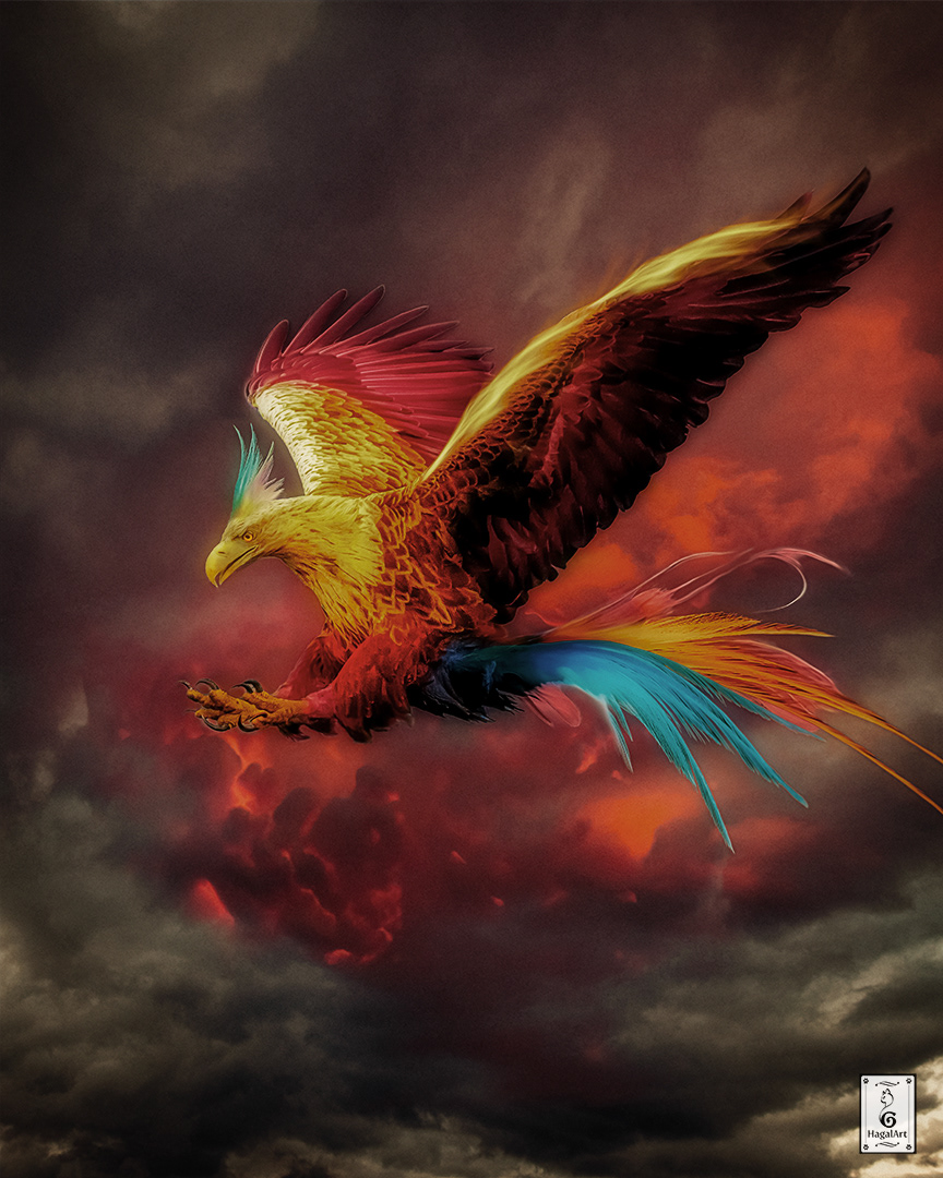 photomanipulation photoshop Digital Art  artwork Mythological Creature mythology fantasy concept art bird fire