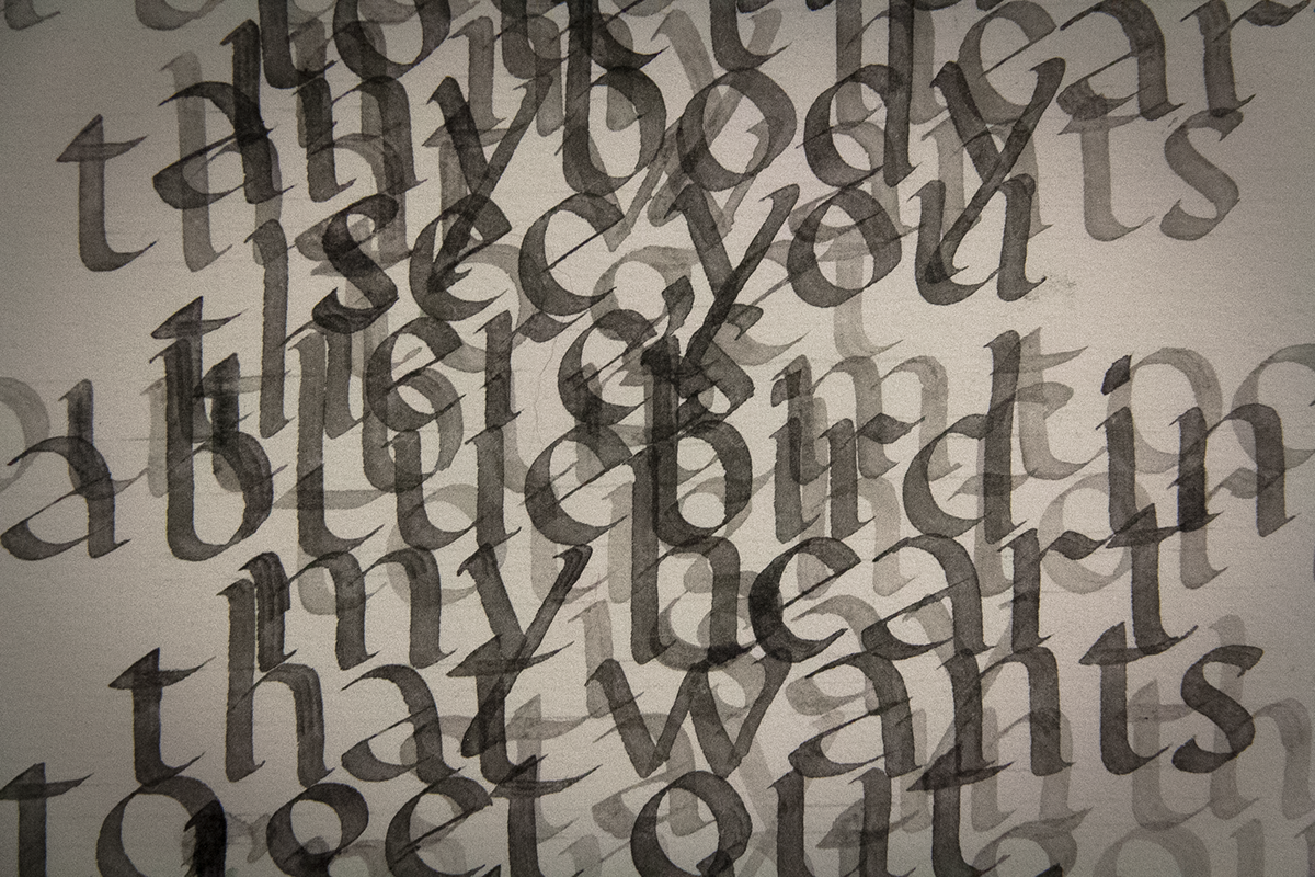 foundational texture letters Calligraphy   Romans italic brush caligrafia