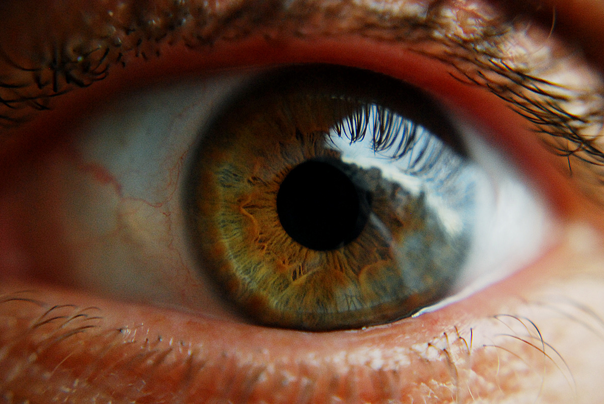 eyes Pupilas iris ojo