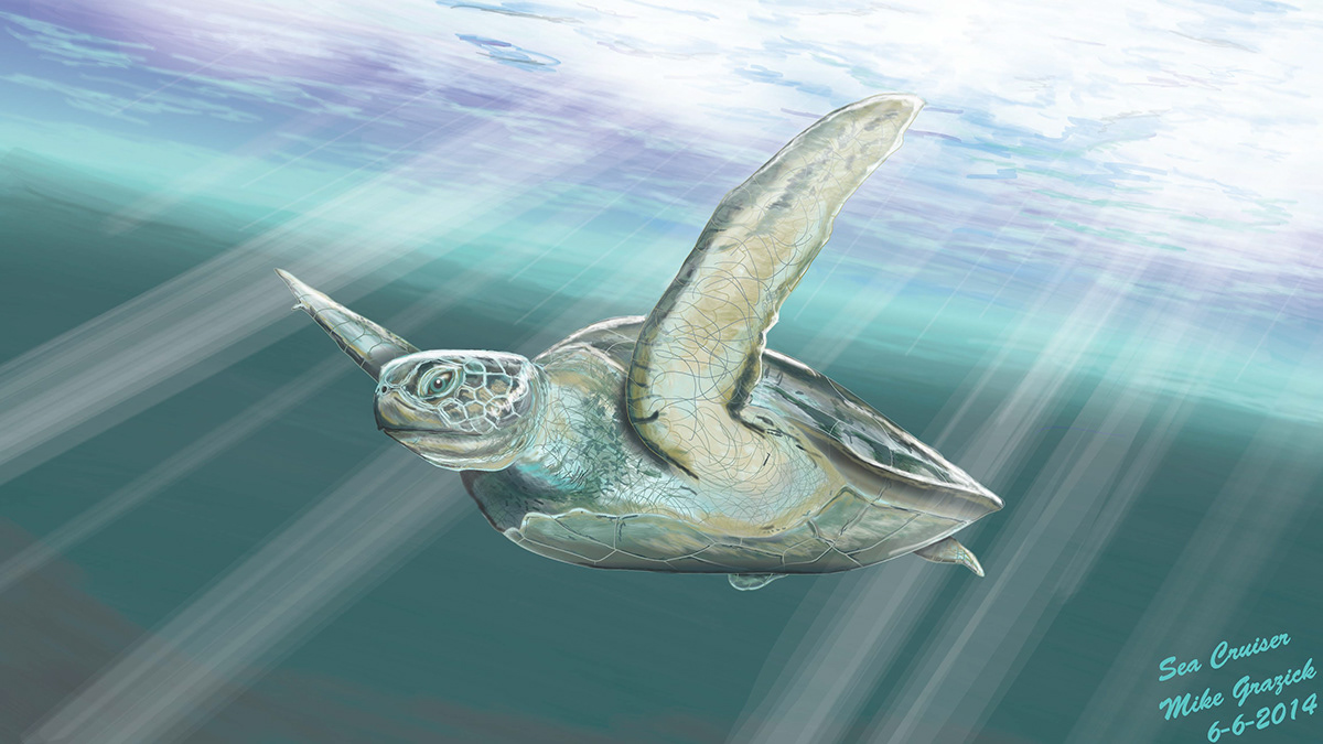 sea sea turtle paint art draw sunlight Flyying cruiser Ocean Beautiful illustrate adobe