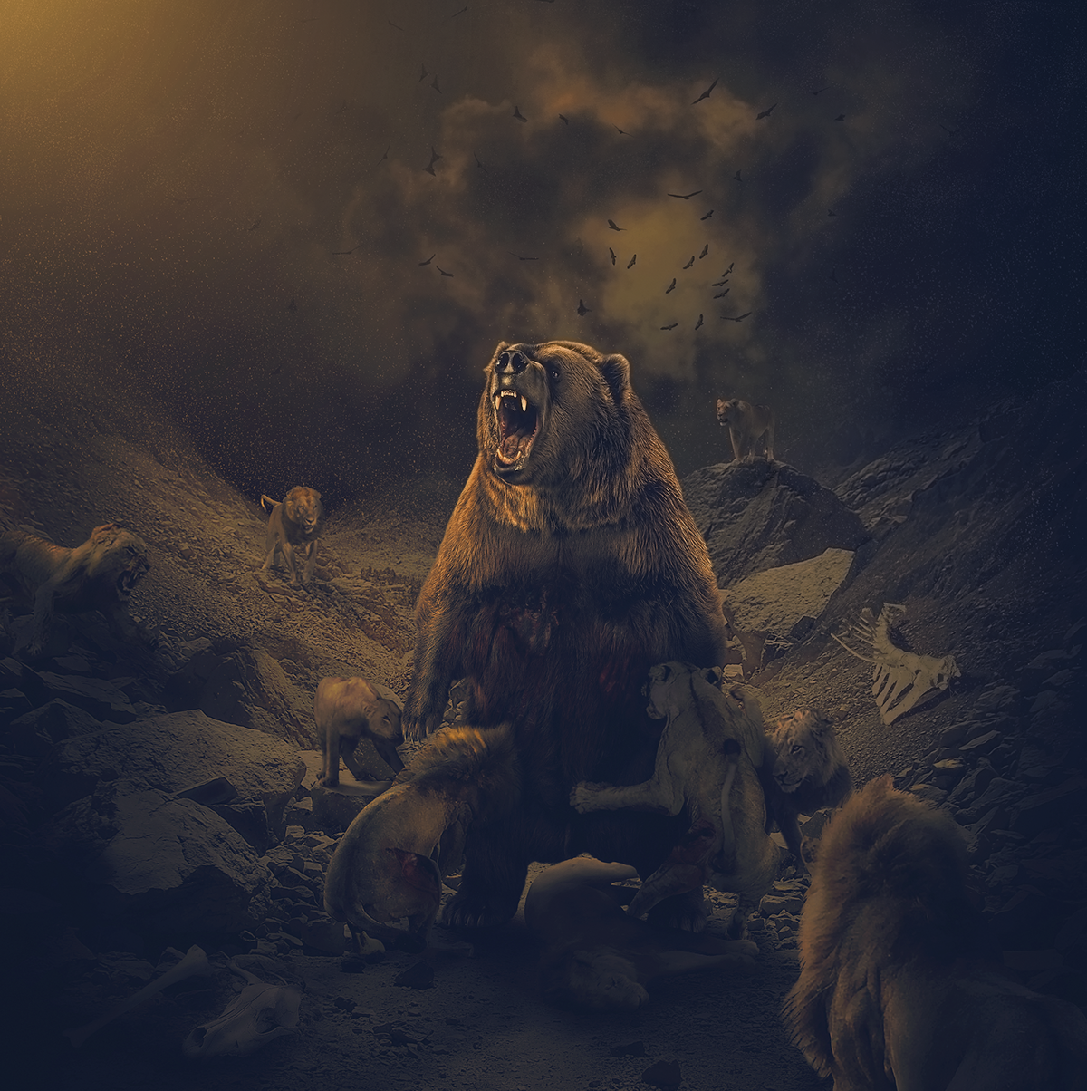 #mohannadshabana egypt photomanipulation photoretouching fight battle adobe eagles bear lion bones blood concept epic light