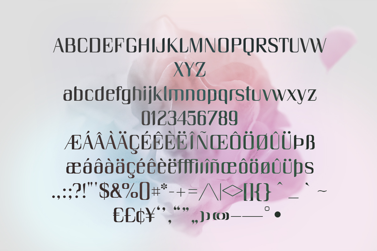 typography type  font  free  unique  fashy  retro  didot  Sans Serif serif  eclectic hybrid contemporary  display regular Baltic