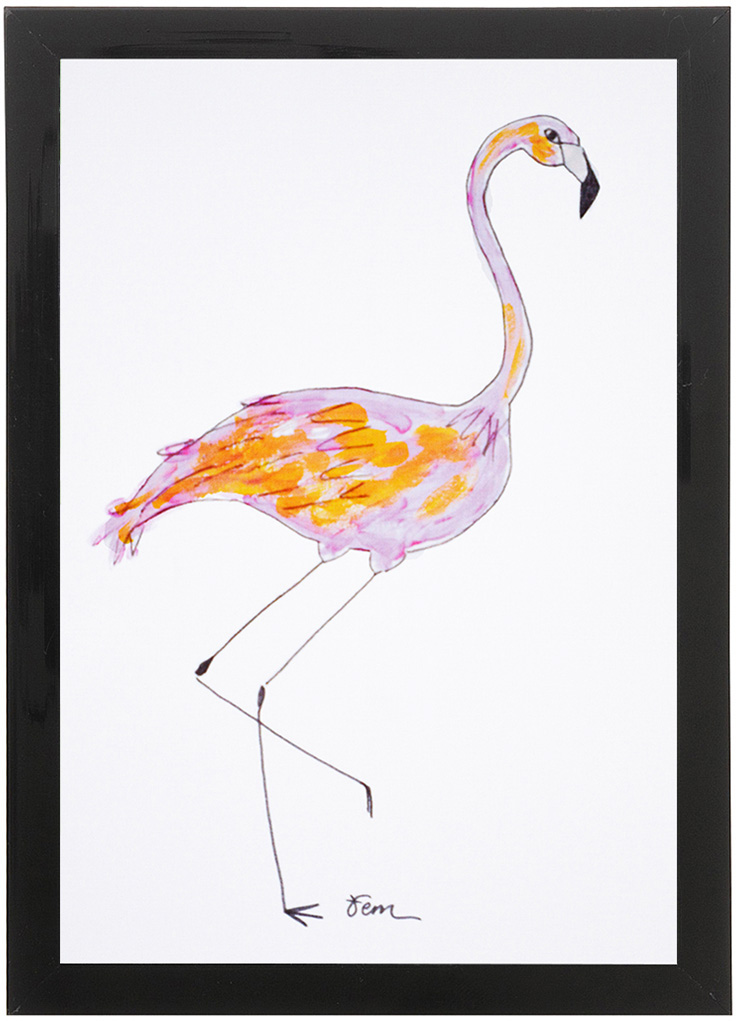 Catchii draw www.catchii.com peacock flamingo feather feathers animals fish toecan lines parrot The Netherlands colours Colourful 