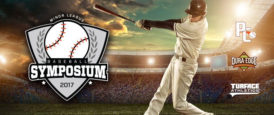 baseball logo MiLB graphic design  sports adobe