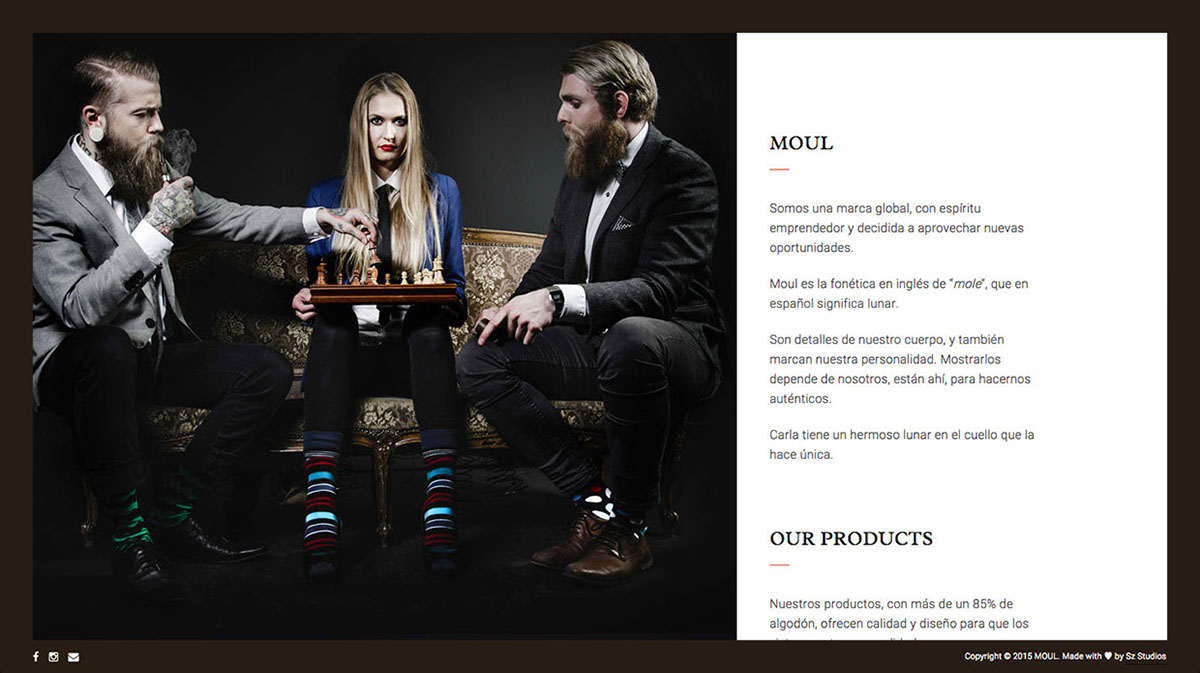 Web design moul Fashion  accessories brand wordpress