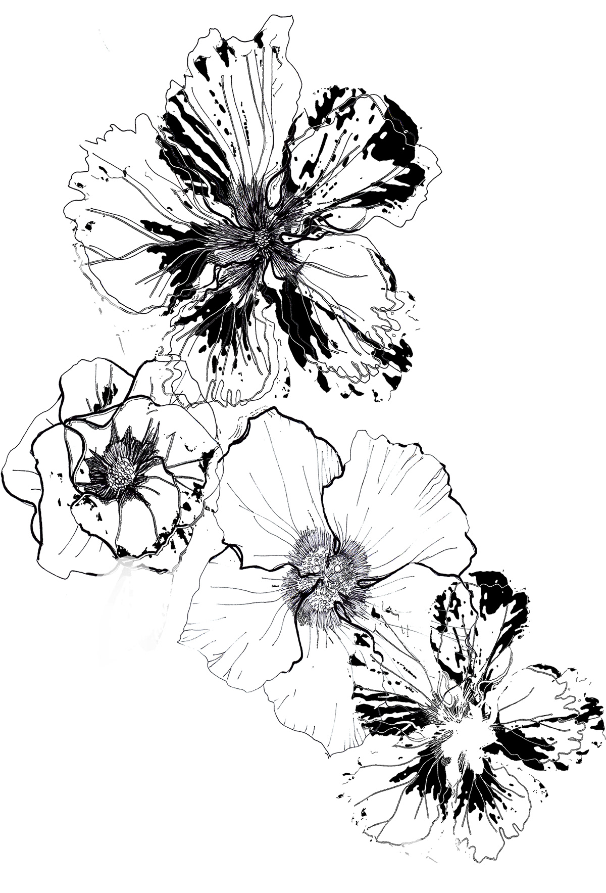 Flora illustrations Fall blak&white