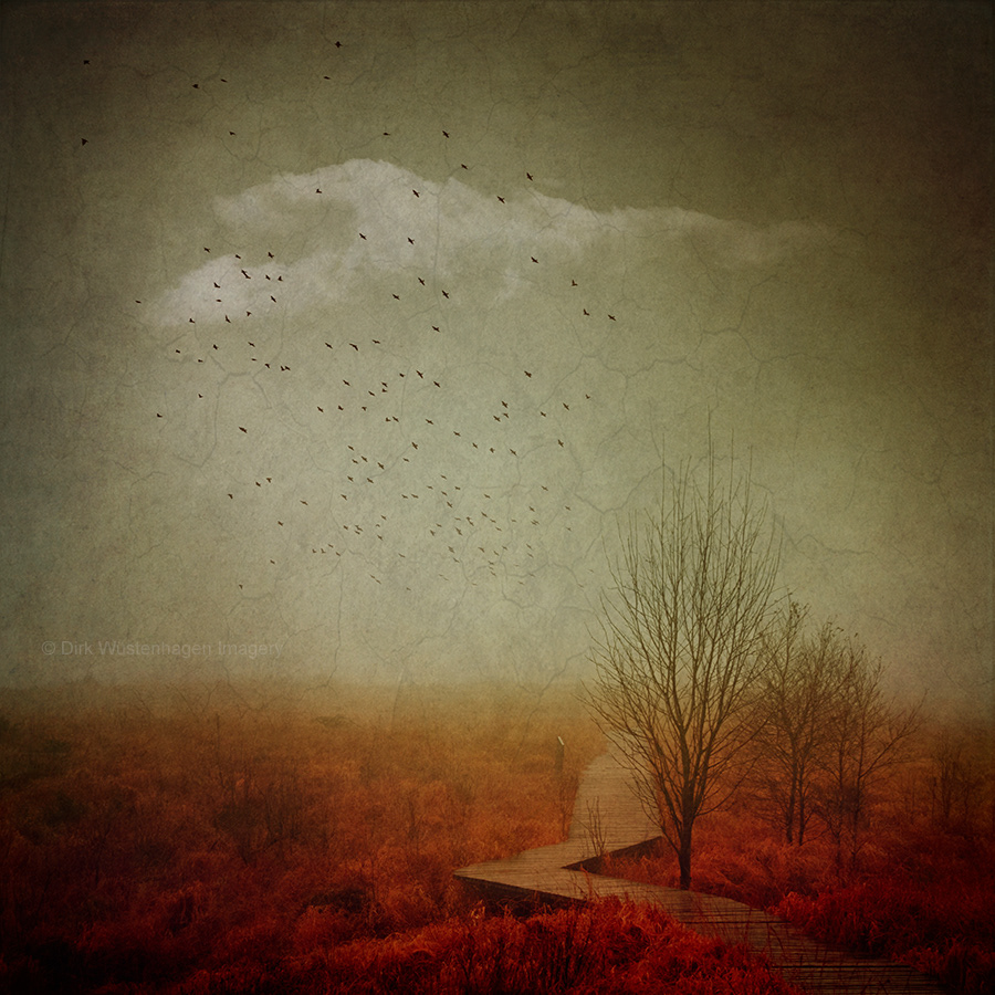 atmosphere country high fens Landscape mood Nature outside textures trees
