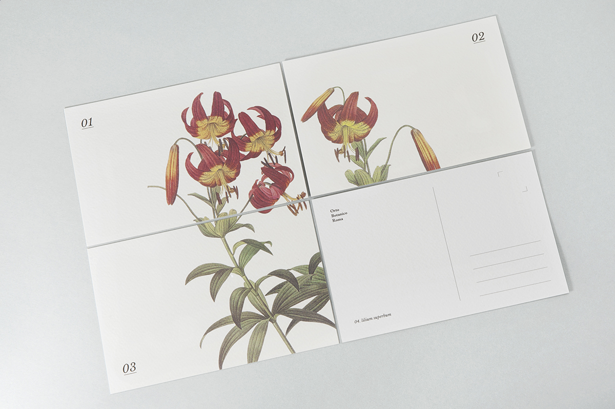 postcards botanical illustration composition souvenir