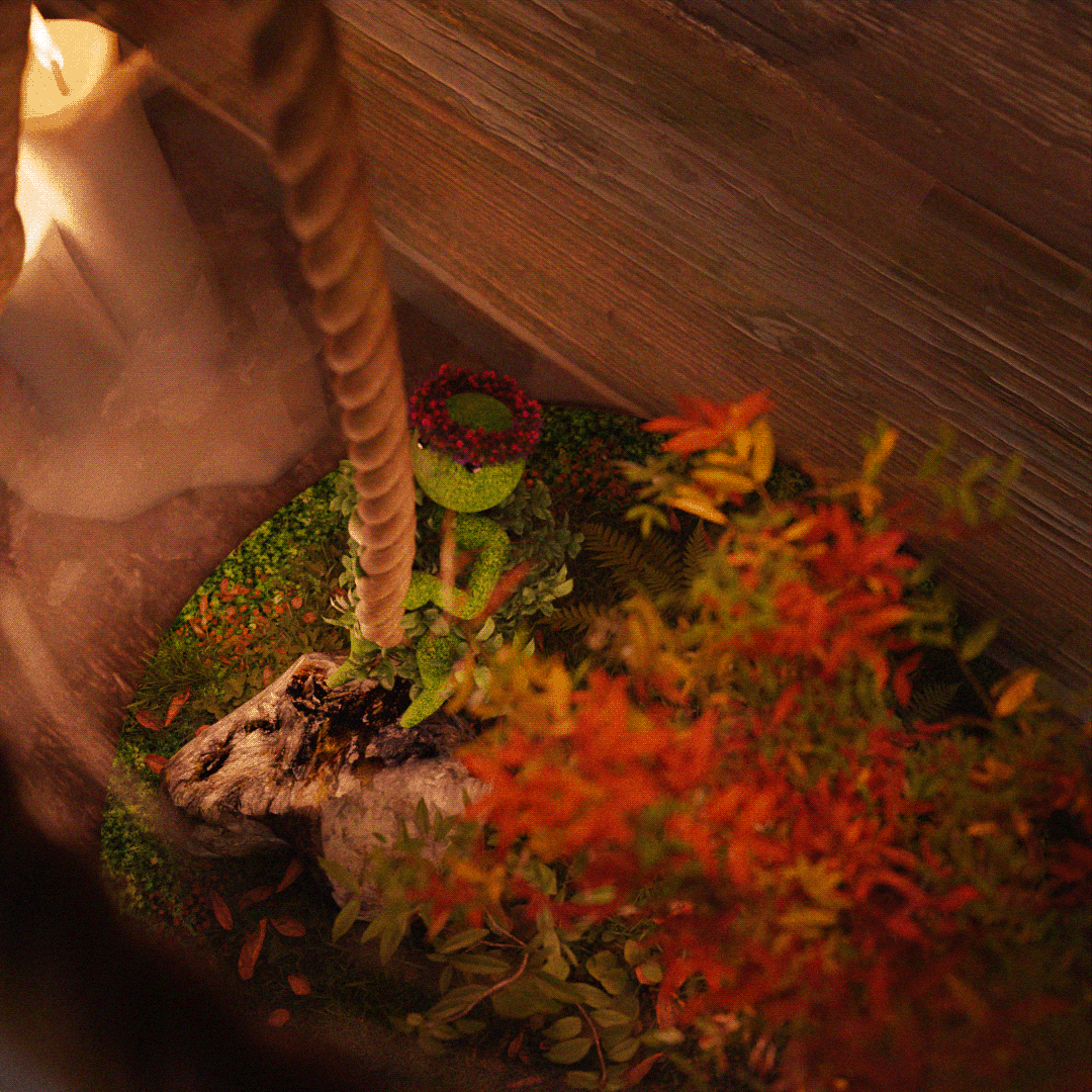 plants candle scene 3D blender Moody cinematic terrarium ILLUSTRATION  Digital Art 