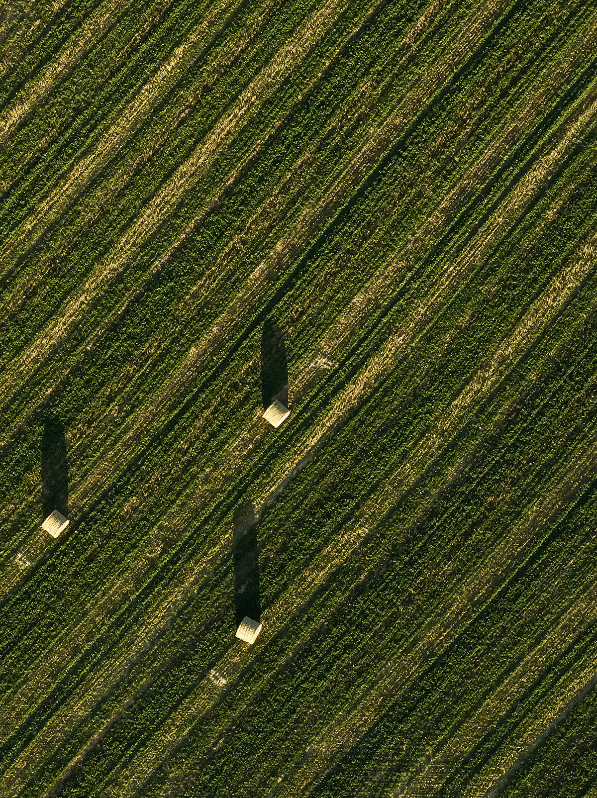 agriculture Washington Aerial Flying farmland Rolling Hills scenic Landscape abstract beauty