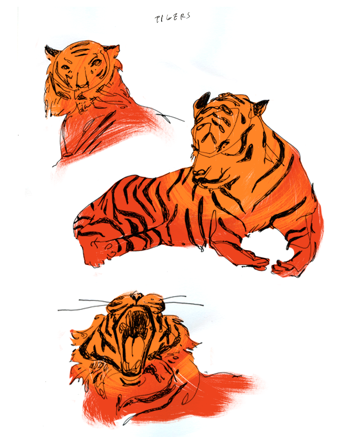 tiger sketchbook pen monkey jungle