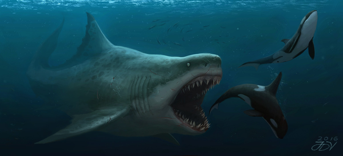 shark sea Ocean underwater Scary dark fish megalodon orca killerwhale giant monster creature creatures