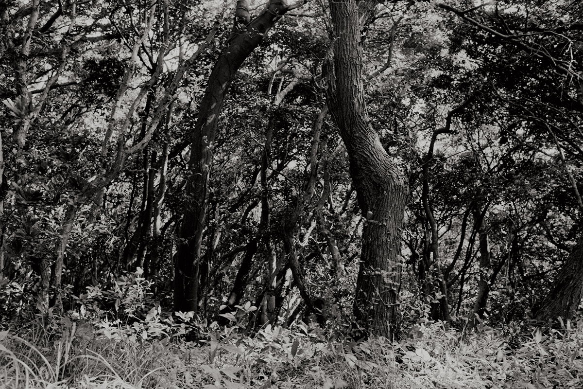 black and white b&w analog monochrome 35mm Nikon Landscape