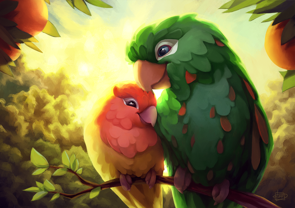 parrot animal bird Digital Art  ILLUSTRATION  paradise behind lighting soft light Emotional cute