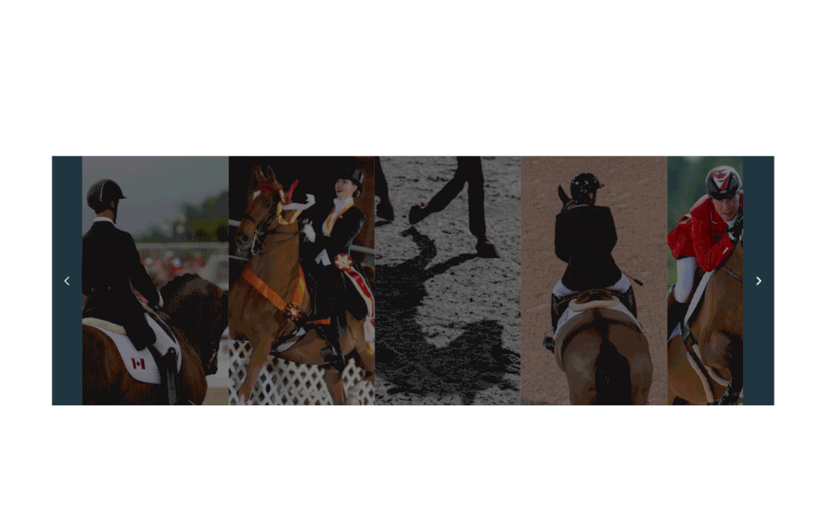 equestrian horse Canada interactive Montreal sports athlete league equestre