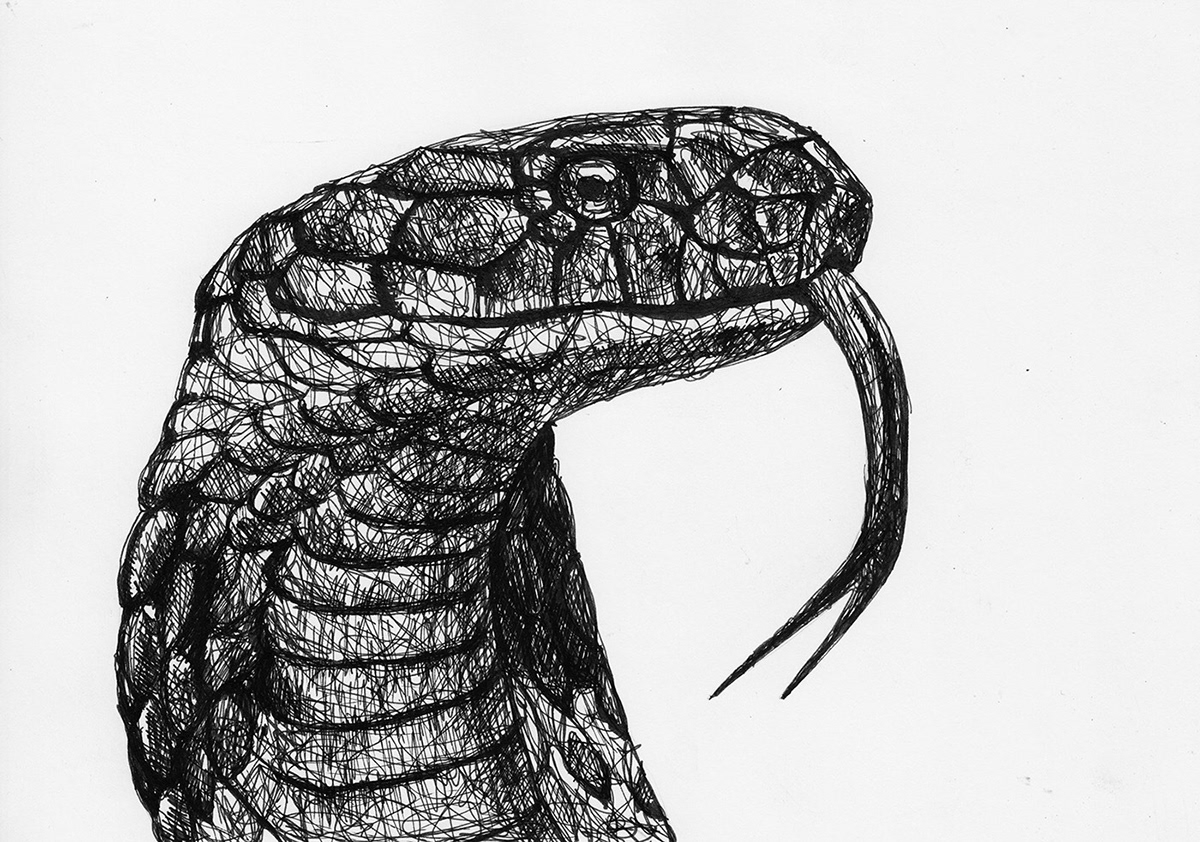 Голова змеи карандашом