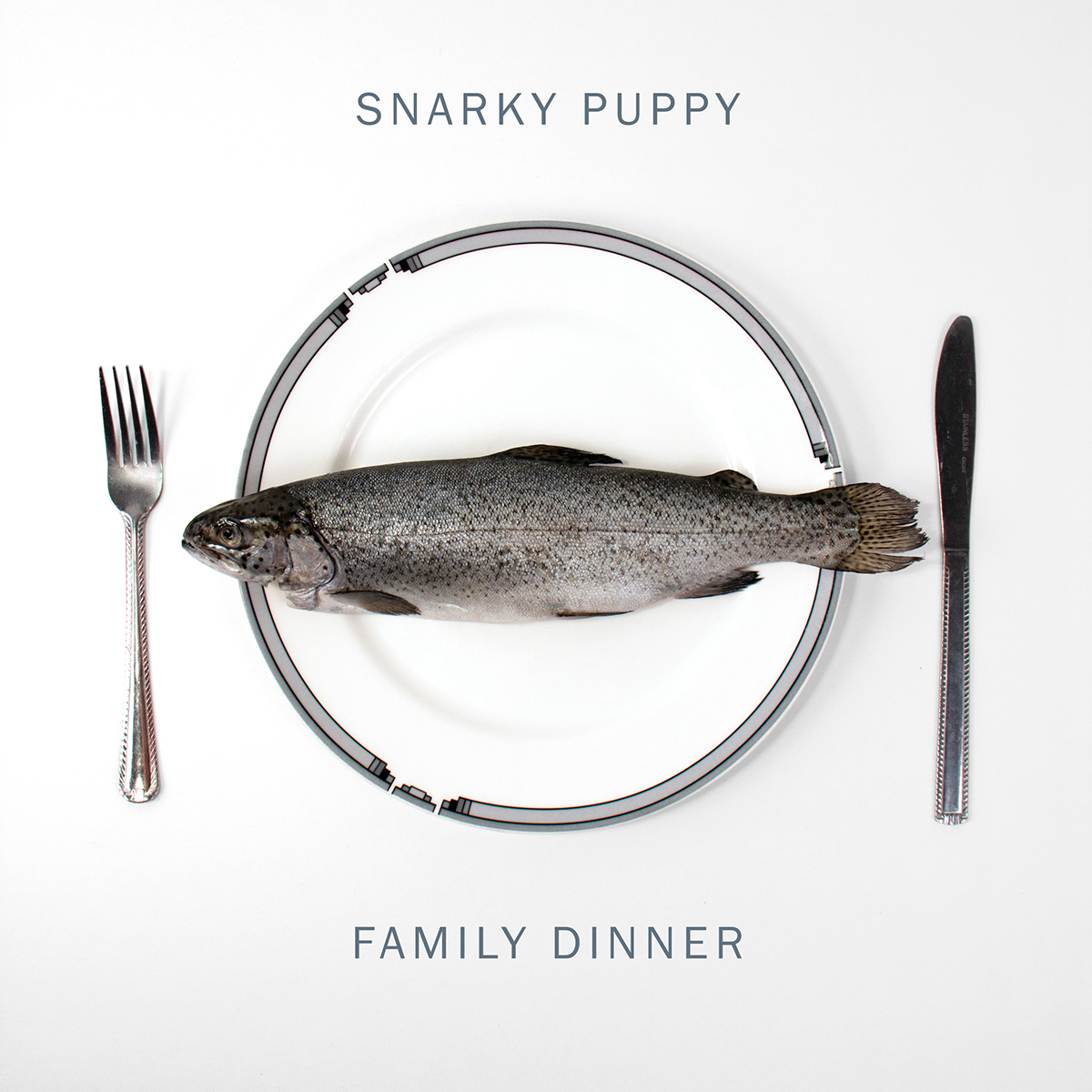 photo macro fish table eat Album cover vinyl