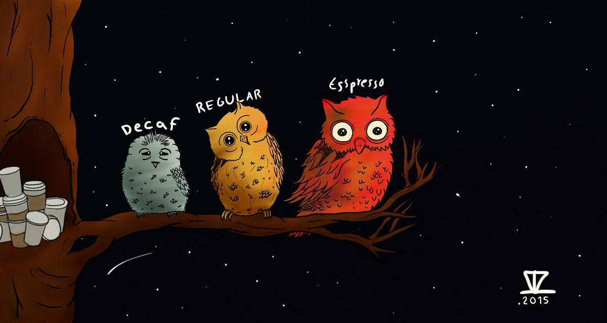 owls night Coffee coffee moods digitalart wacom