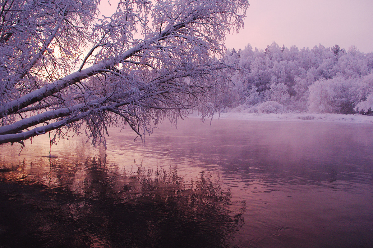 freezing-over frost MORNING river Sunrise winter forest snow ice Nature environment arts Landscape