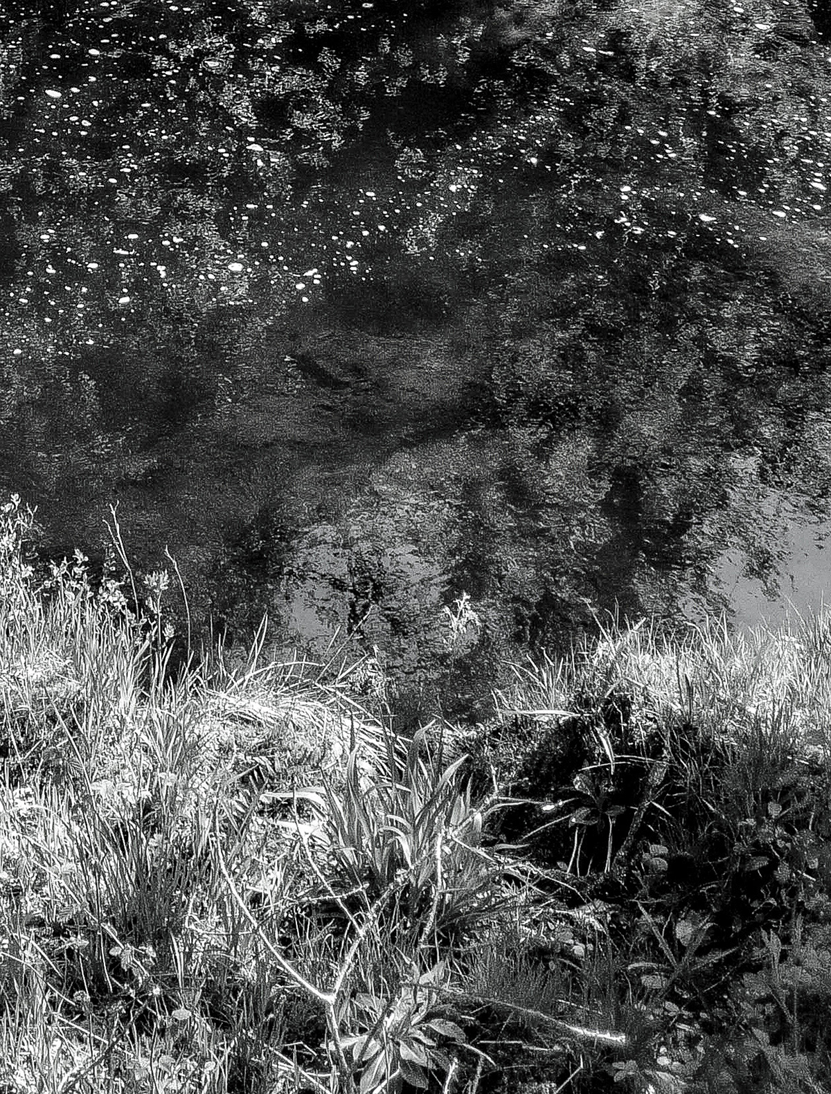 Riverside Nature Photography  monochrome abstraction light Cambrian mountains wales