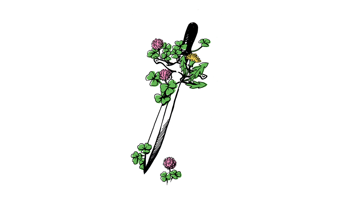 plants botanical sketch tattoo digital heart Nature ILLUSTRATION  Sword ginkgo