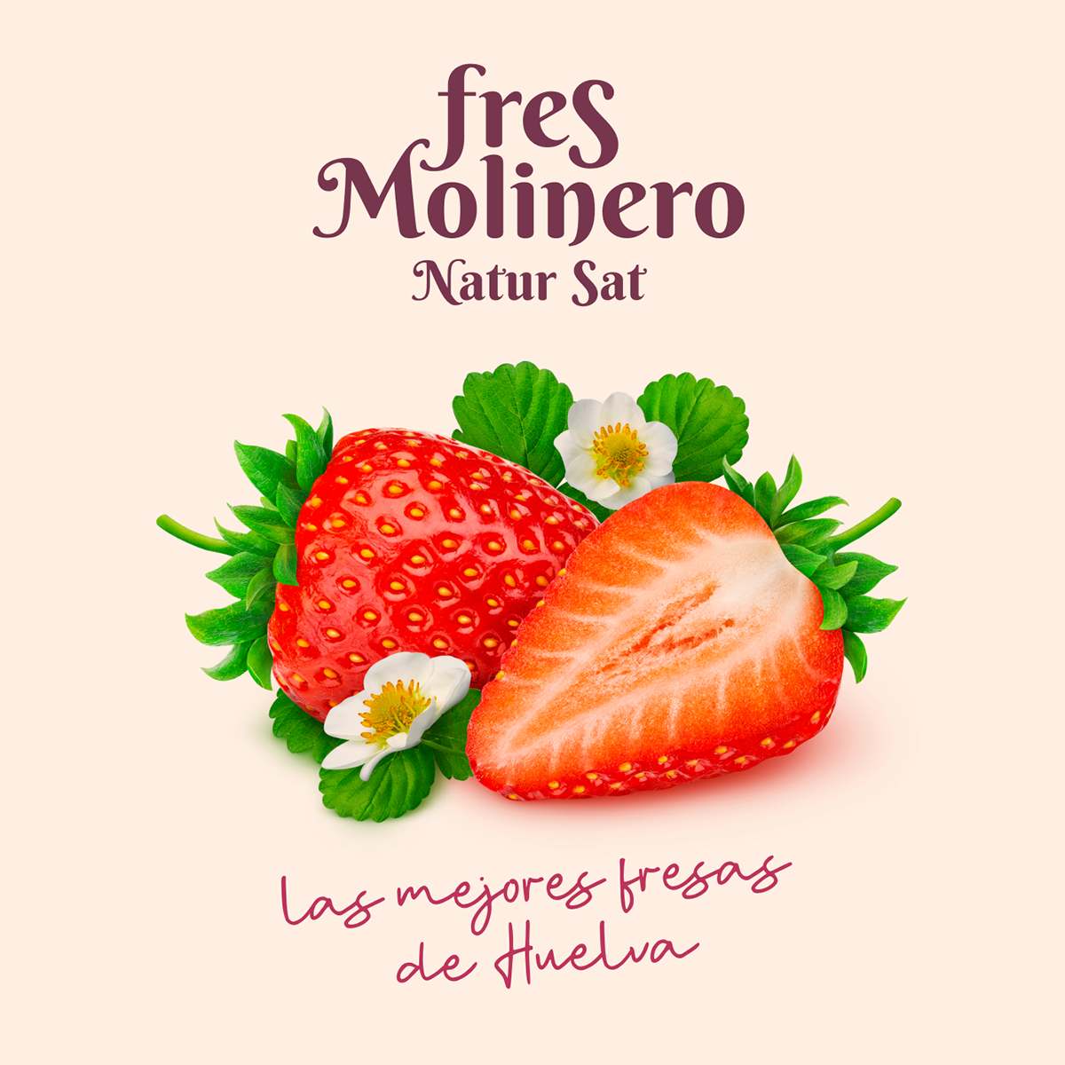 branding  logo strawberries