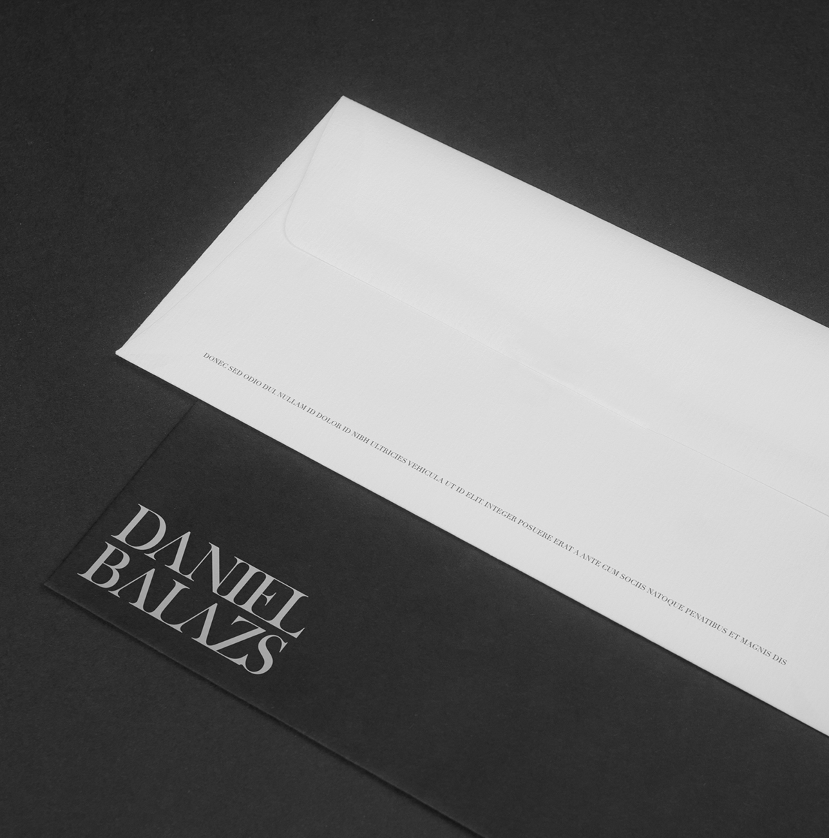 logo daniel balazs self Promotion business card business card black uncoated dark paper clean minimal