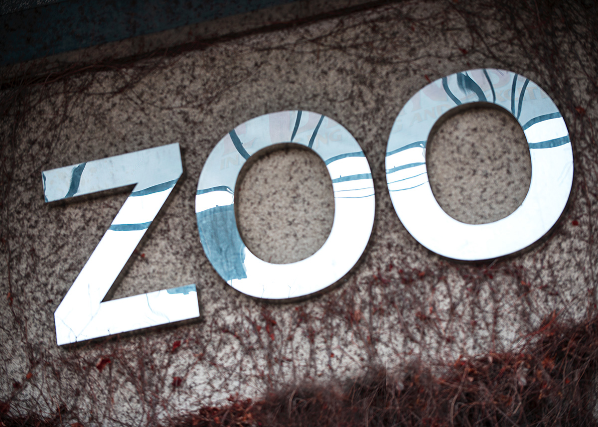 zoo onesie team