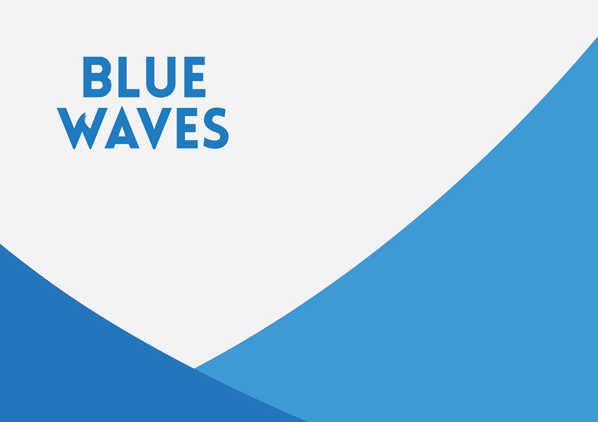Logo Design visual identity blue waves logo