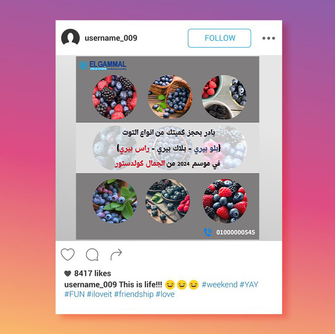 Food  cranberry Mango Social media post Graphic Designer Socialmedia marketing   frouts