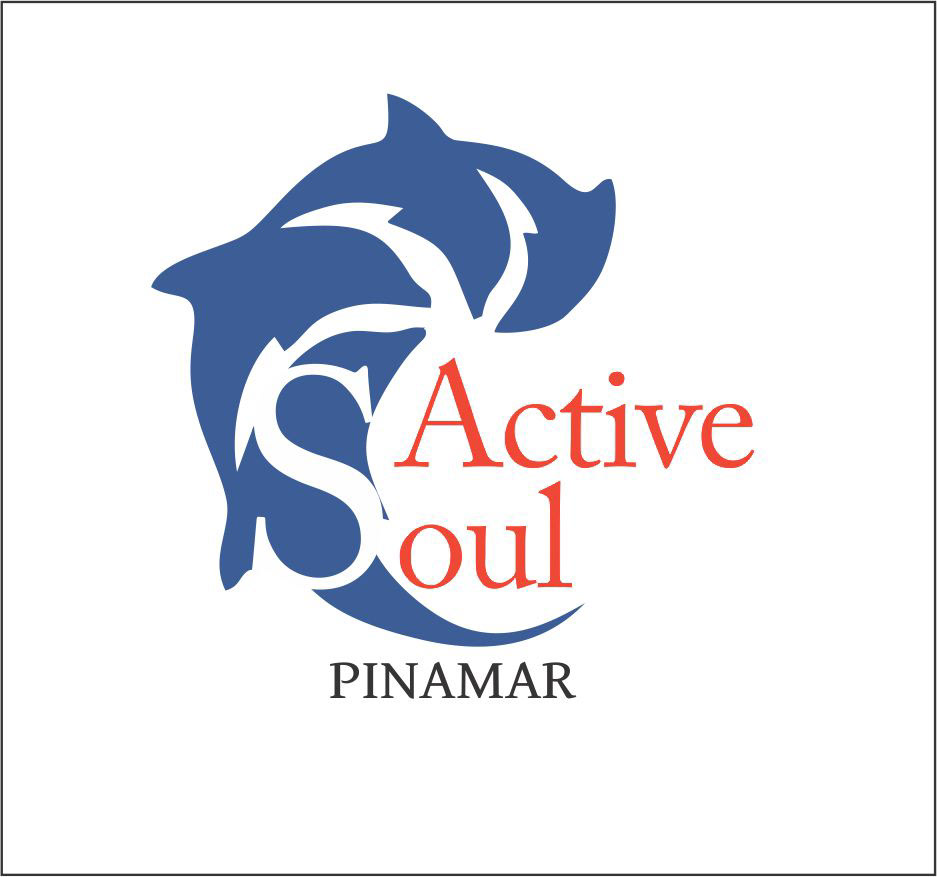 Active dolphin logo Nature Outdoor soul TEAMWORK training