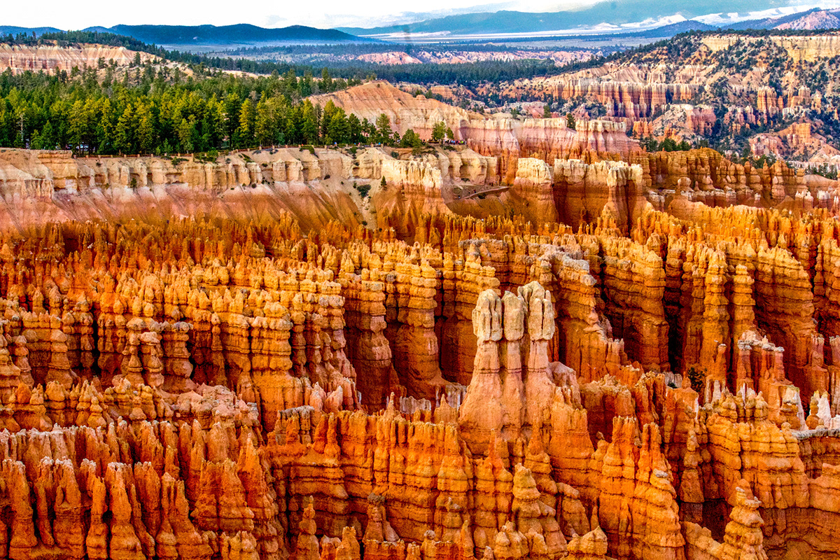 Bryce National Park bryce canyon utah National Park Nature nature photography geology science Western America usa wildlife