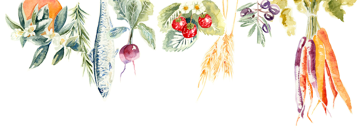 Fruit vegetables watercolour